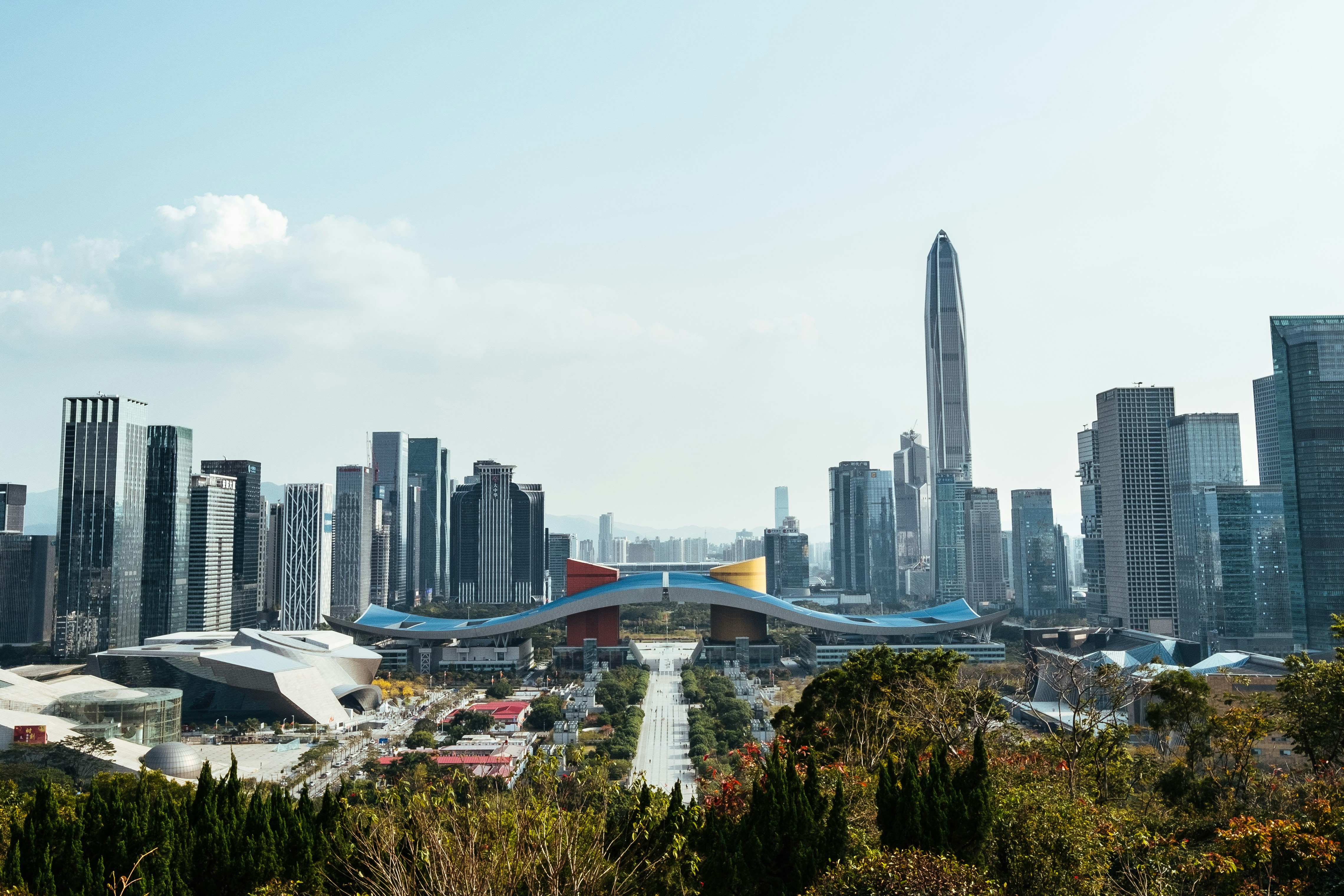 Shenzhen Leads China in EV Production in 2024